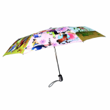 Korea Folk painting umbrella -No- 1444488-
